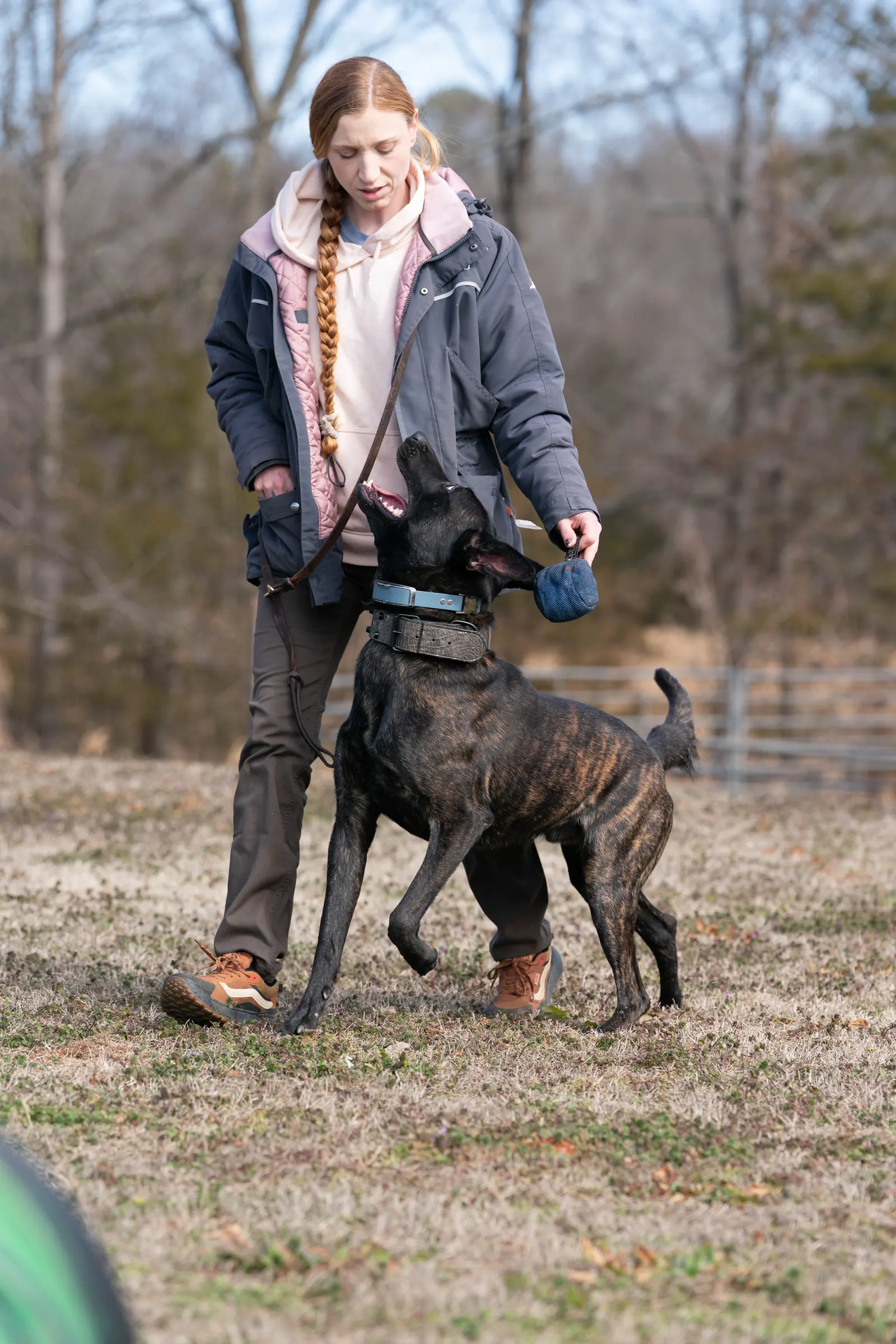 Competitive dog sports training at Georgia Doggy Dojo 2